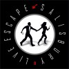 Live Escape Salisbury Salisbury, Wiltshire logo